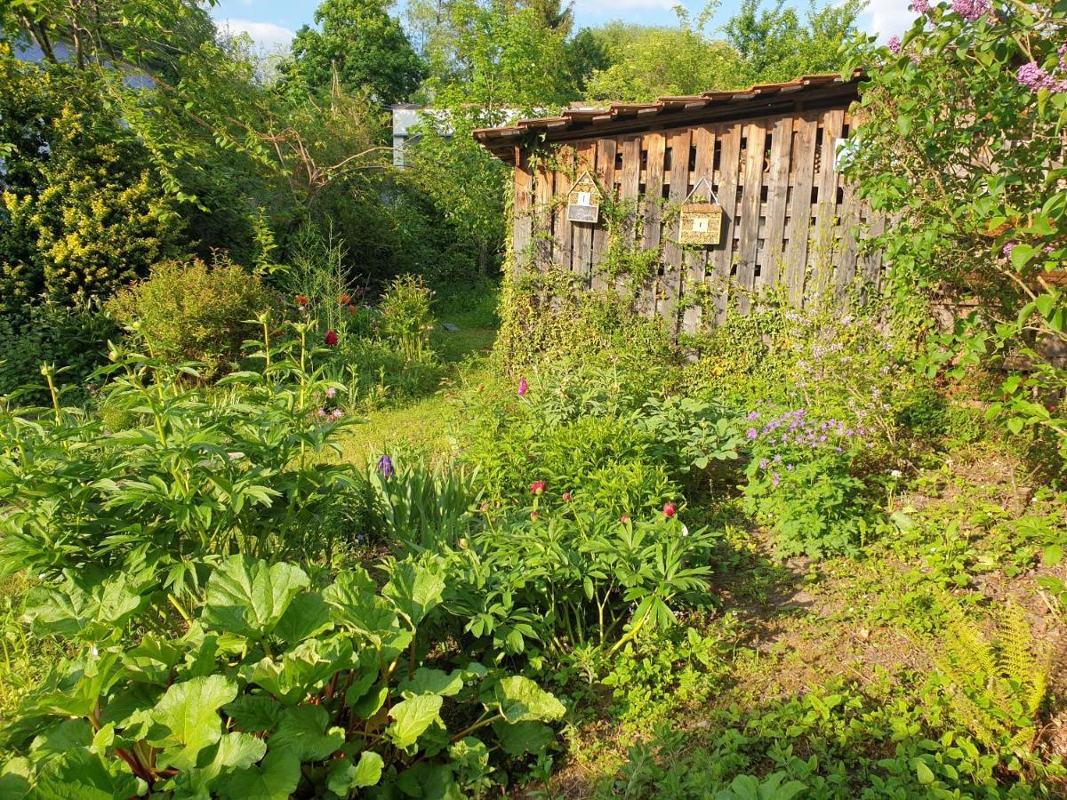 Unser Obervolkacher Ferienhaus-Einfach Gemutlich! Exterior photo
